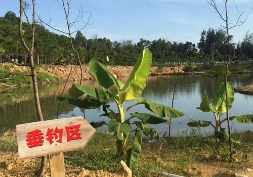 深圳溪涌玫瑰海岸红星拓展基地